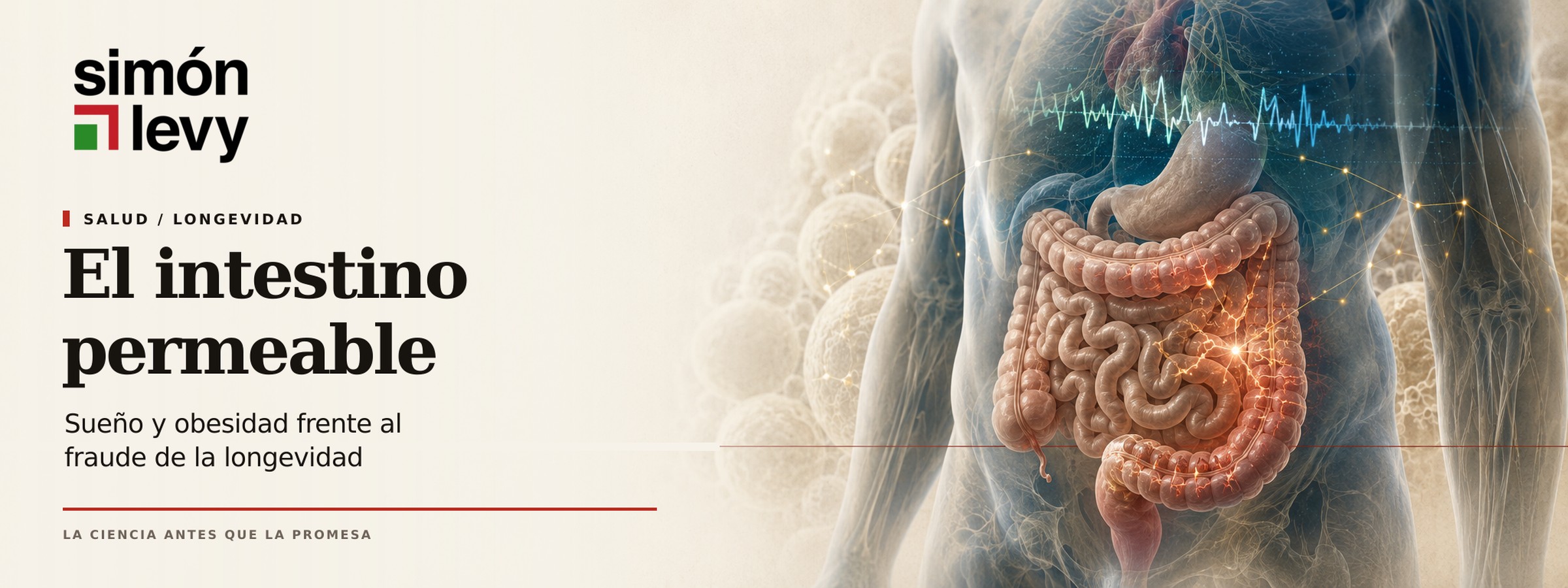 El intestino permeable: sueño y obesidad frente al fraude de la longevidad